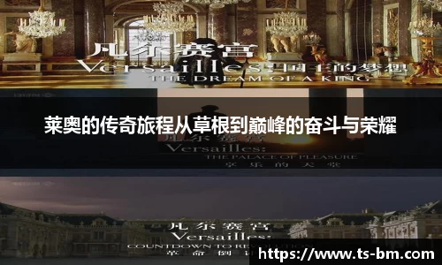 OB电竞官网